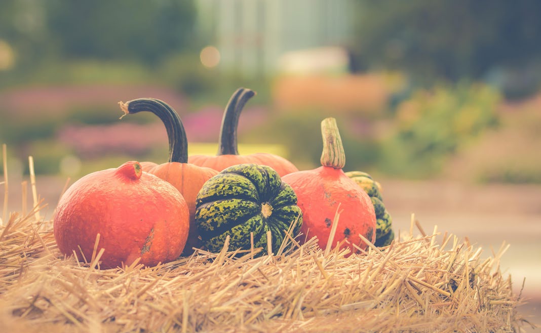 Pumpkins sitting on a bale of straw